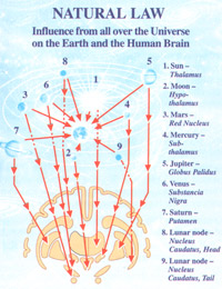 Natural Law - Influence from all over the Universe on the Earth and the Human Brain