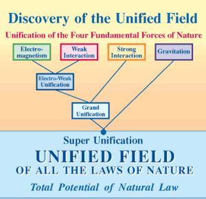 Discovery of the Unified Field